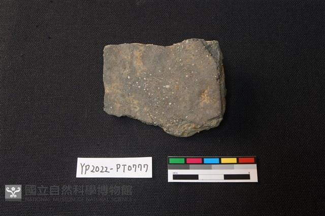 陶片藏品圖，第2張