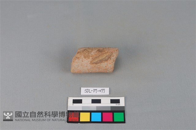 陶把藏品圖，第2張