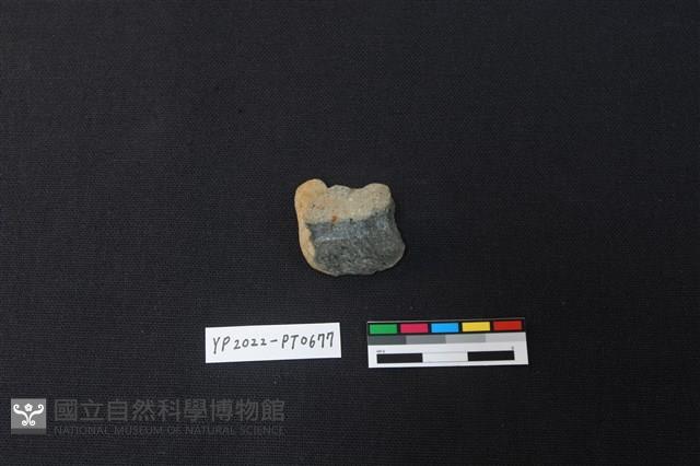 陶片藏品圖，第2張