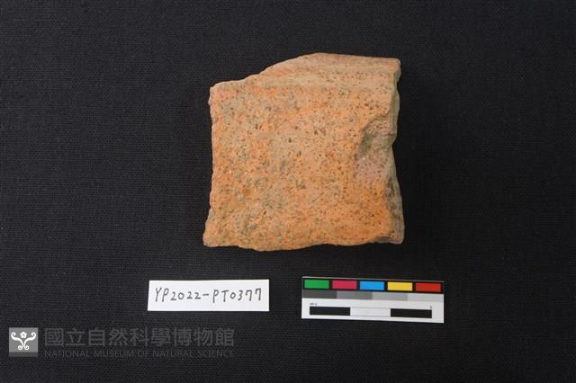 陶片藏品圖，第2張