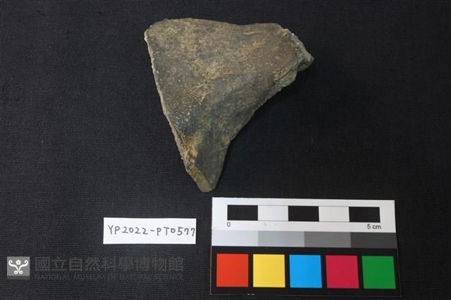 陶片藏品圖，第2張