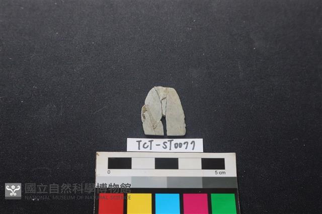 矛鏃形器藏品圖，第2張