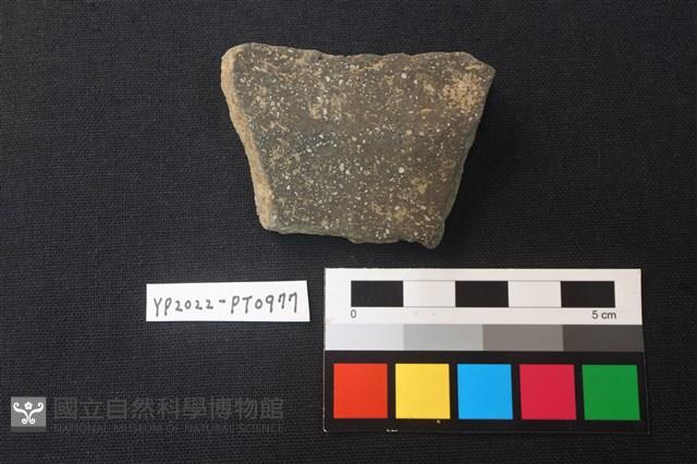 陶片藏品圖，第2張