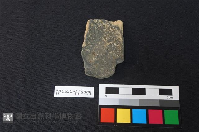 陶片藏品圖，第2張