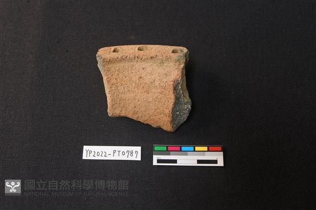 陶片藏品圖，第2張