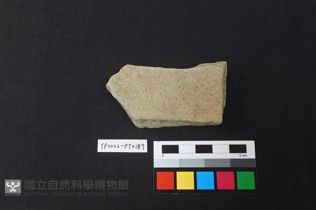陶片藏品圖，第2張