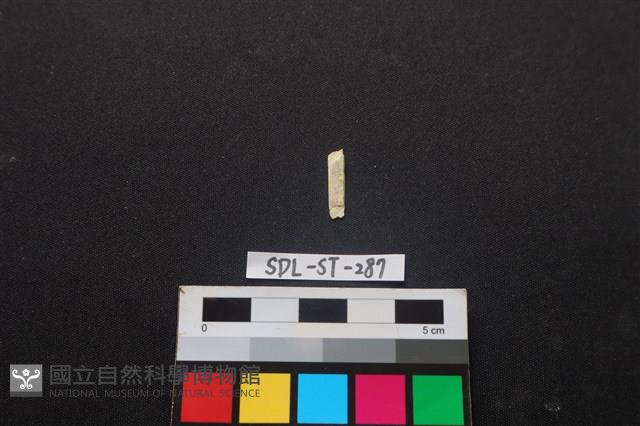 玉飾藏品圖，第2張