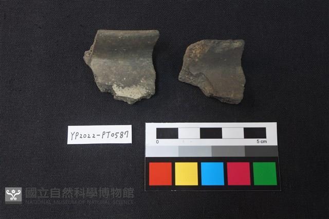 陶片藏品圖，第2張