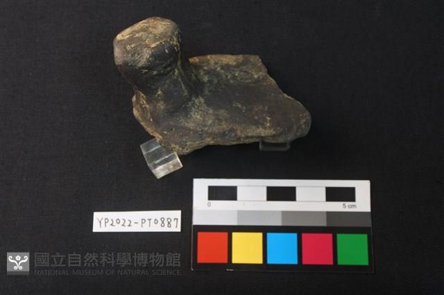 陶蓋鈕藏品圖，第2張