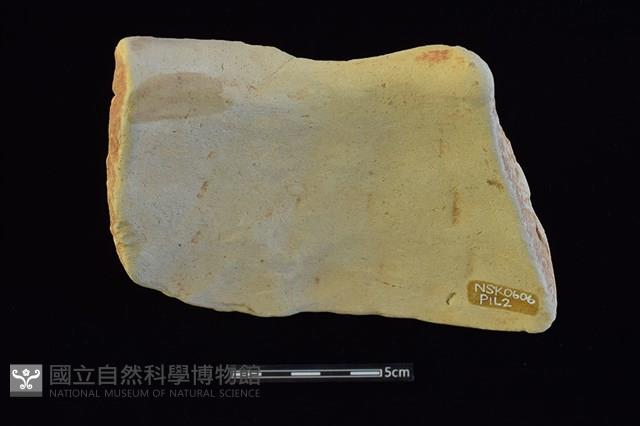 陶罐藏品圖，第2張