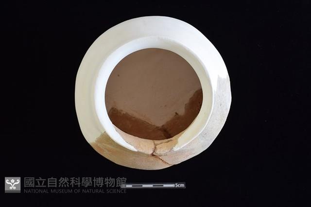 陶罐藏品圖，第2張