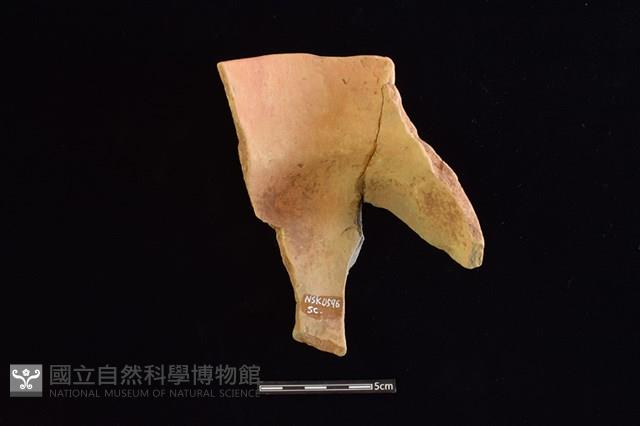 陶罐藏品圖，第2張