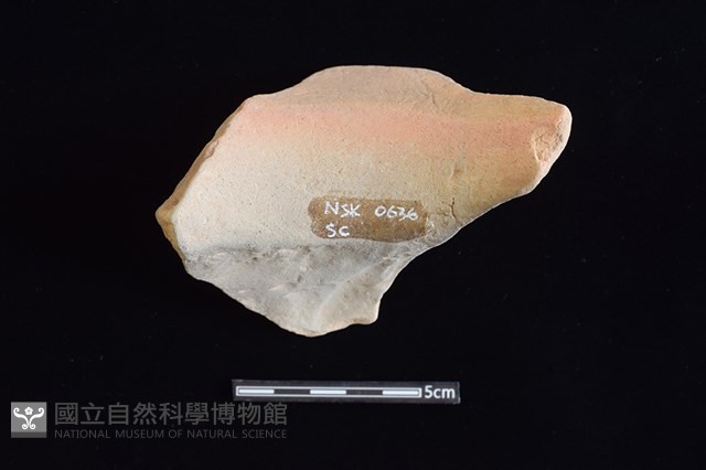 陶罐藏品圖，第2張