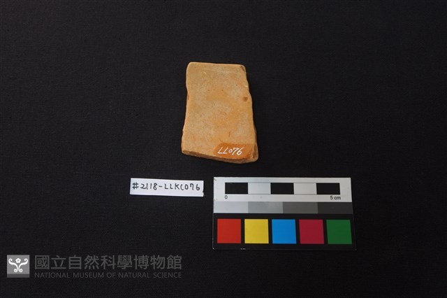 陶片藏品圖，第2張