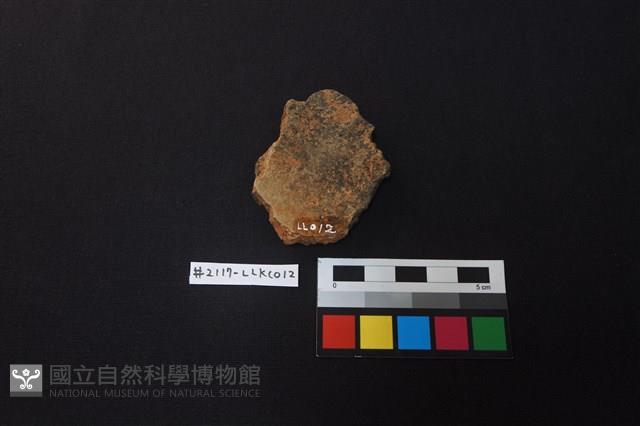 陶片藏品圖，第2張