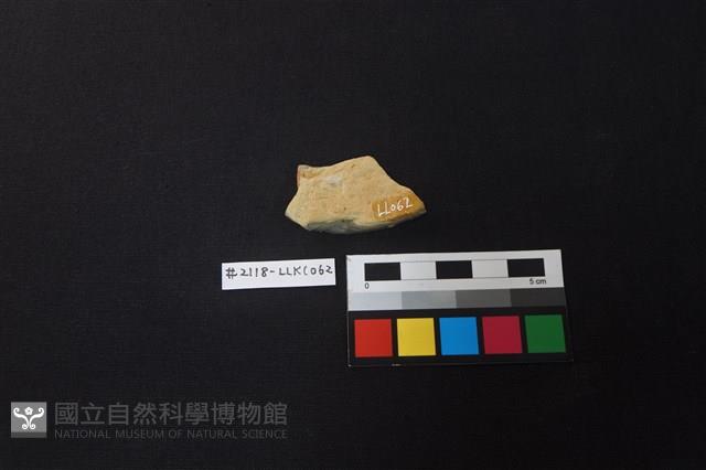 陶片藏品圖，第2張