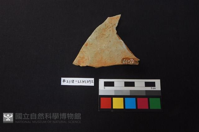 陶片藏品圖，第2張