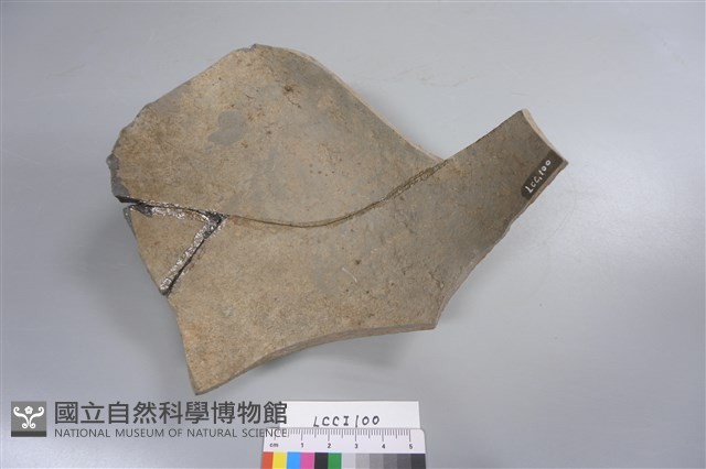 陶片藏品圖，第2張
