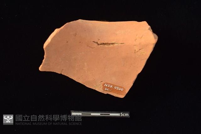 陶罐藏品圖，第2張