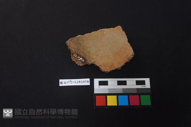 陶片藏品圖，第2張