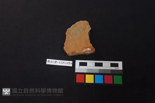 陶片藏品圖，第2張