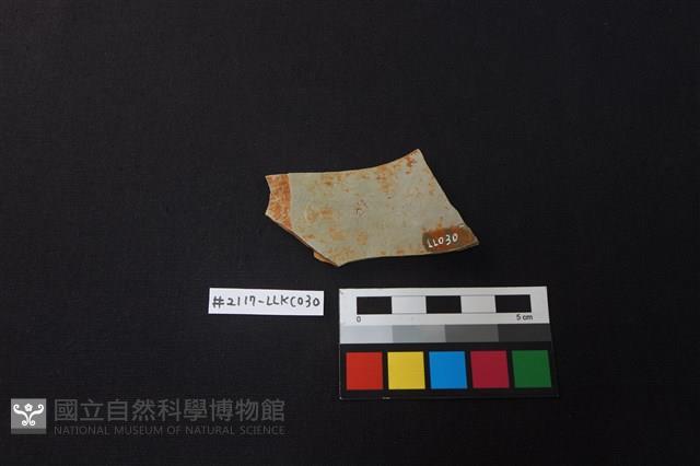 陶片藏品圖，第2張