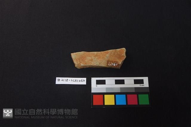 陶片藏品圖，第2張