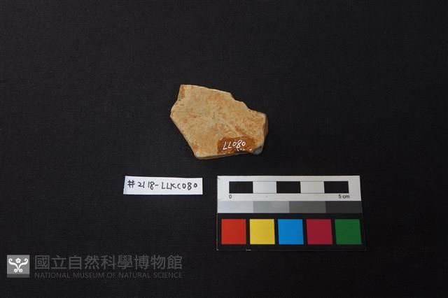 陶片藏品圖，第2張