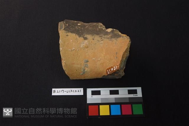 陶片藏品圖，第2張