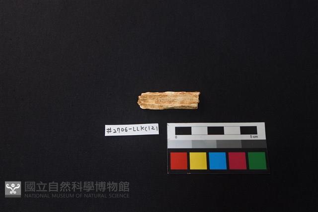 陶片藏品圖，第2張