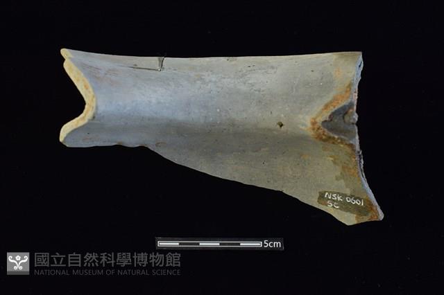 陶罐藏品圖，第2張