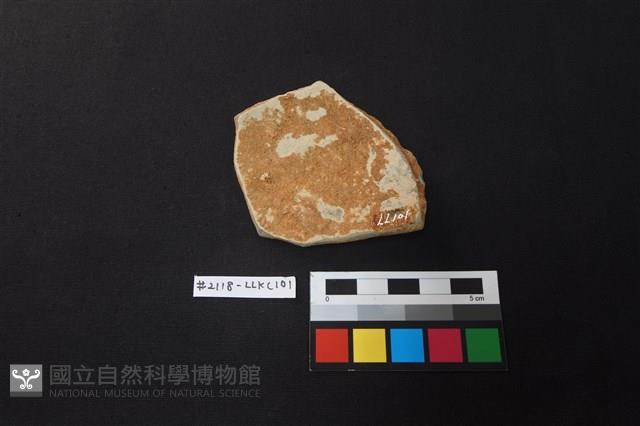 陶片藏品圖，第2張