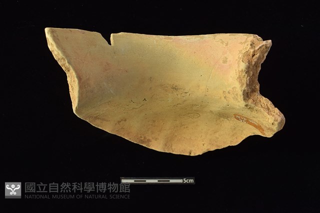 陶罐藏品圖，第2張
