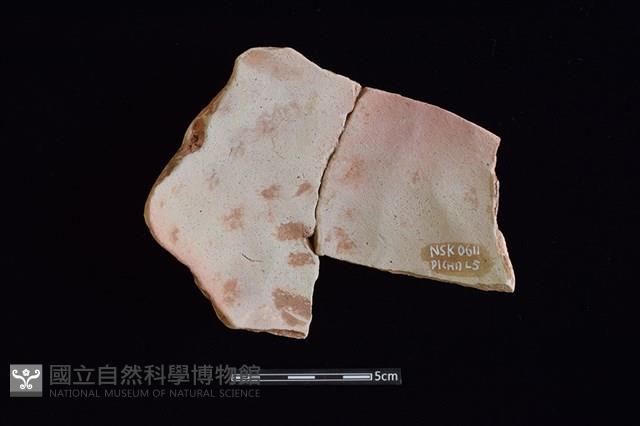 陶片藏品圖，第2張