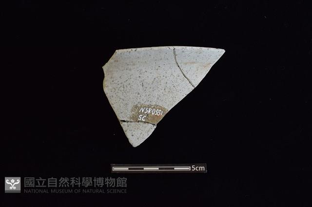 陶片藏品圖，第2張