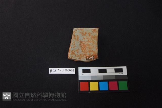 陶片藏品圖，第2張