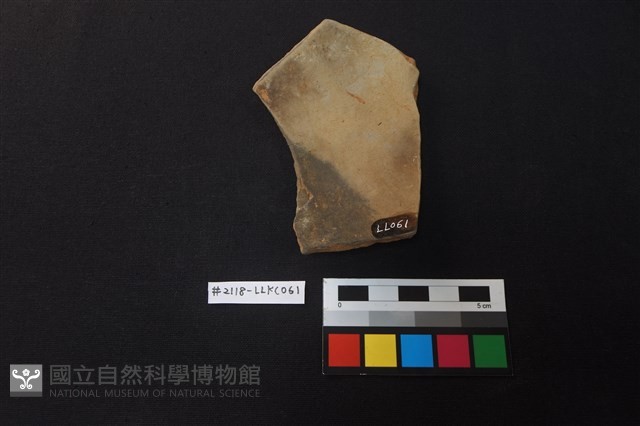 陶片藏品圖，第2張
