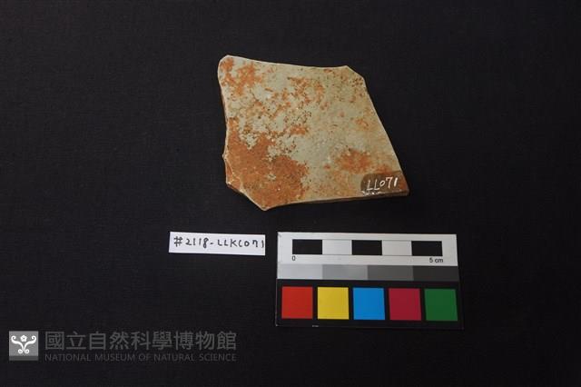 Accession Number:LLKC071 Collection Image, Figure 2, Total 2 Figures