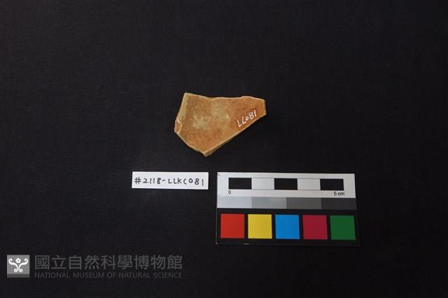 陶片藏品圖，第2張