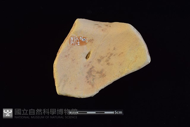 陶罐藏品圖，第2張