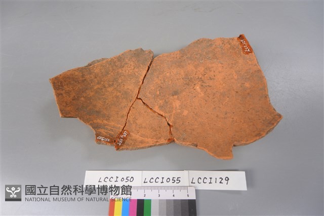 陶片藏品圖，第2張