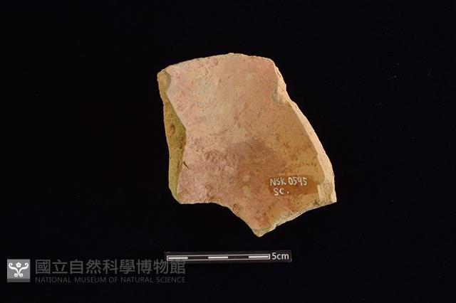 陶片藏品圖，第2張