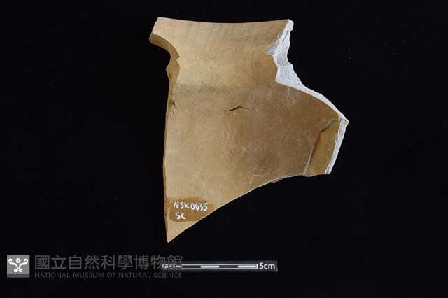 陶罐藏品圖，第2張