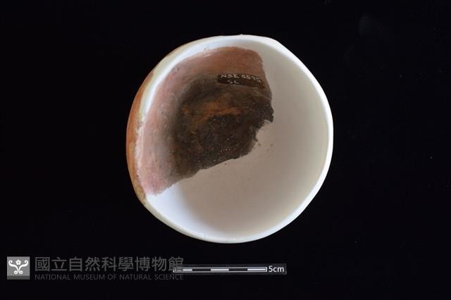 陶缽藏品圖，第2張