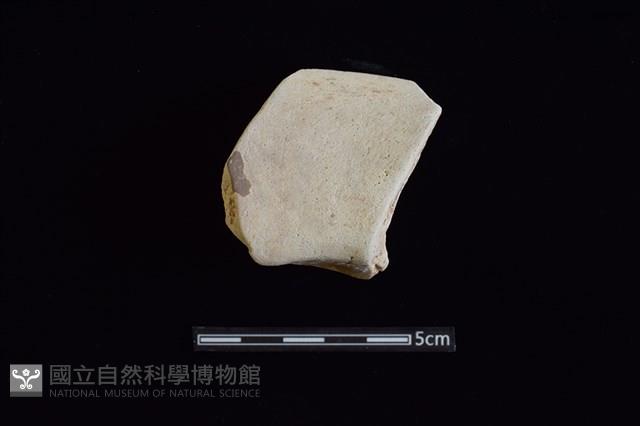 陶罐藏品圖，第2張