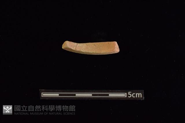 陶環藏品圖，第2張