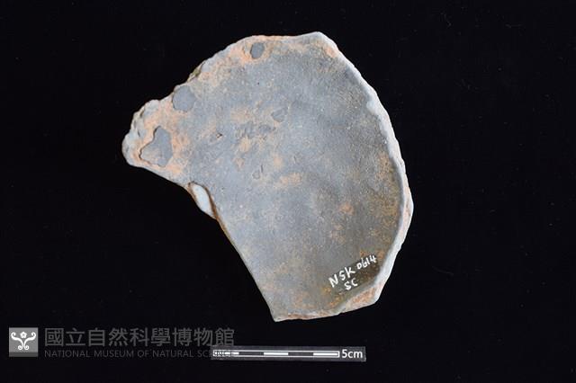 陶片藏品圖，第2張