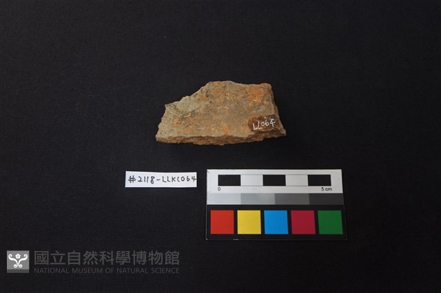 陶片藏品圖，第2張