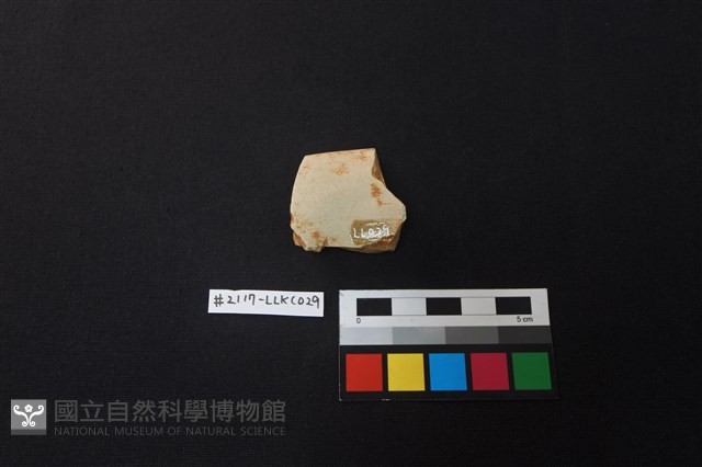 陶片藏品圖，第2張