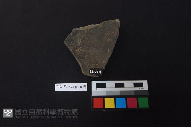 陶片藏品圖，第2張